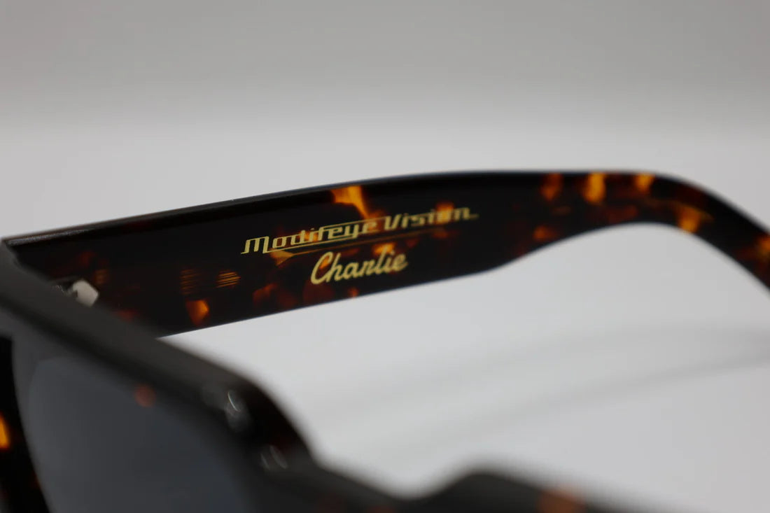 Modifeye Vision Charlie