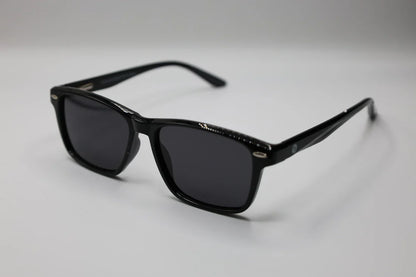 Modifeye Vision Dylan