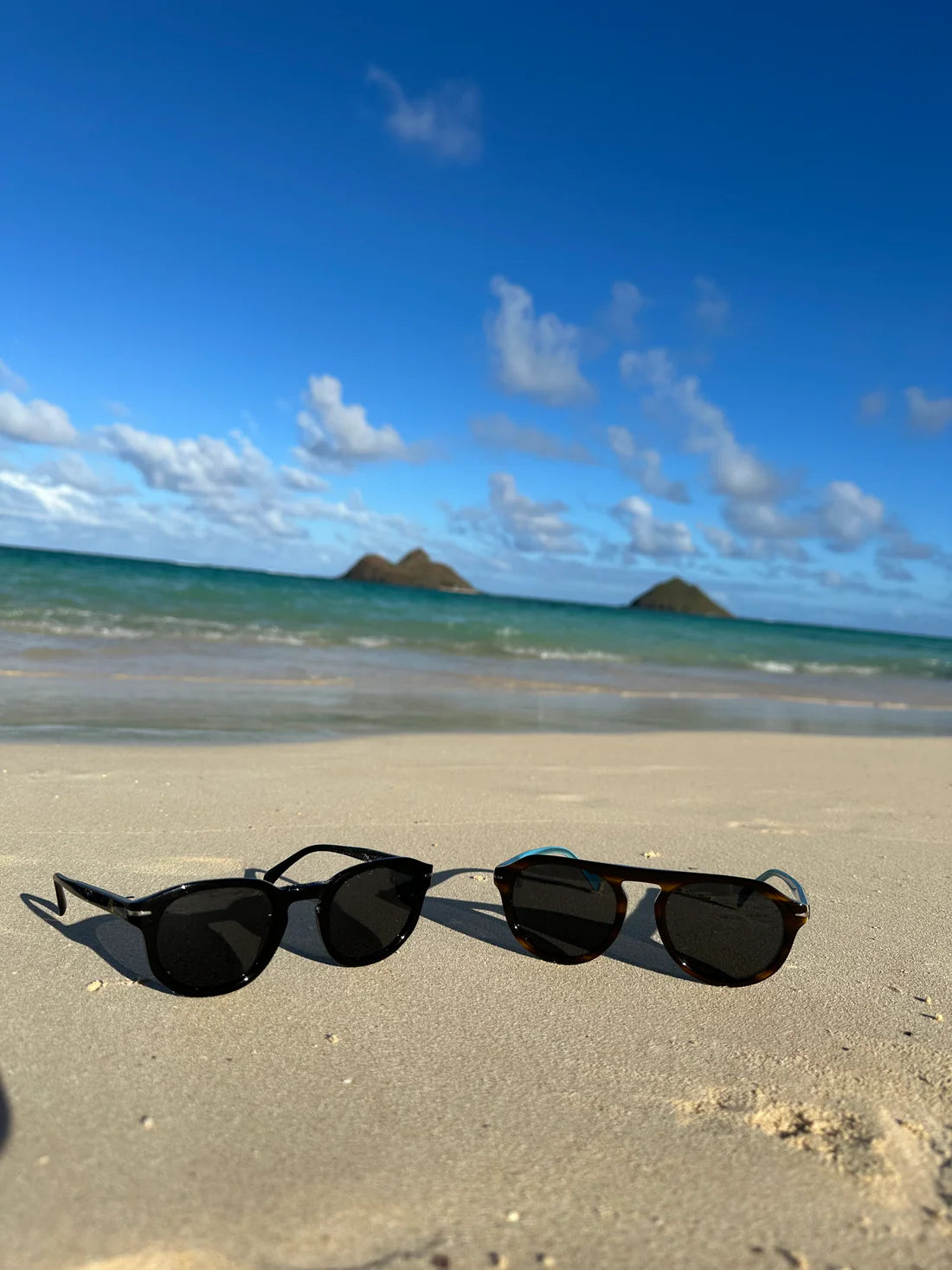 Modifeye Vision Montana