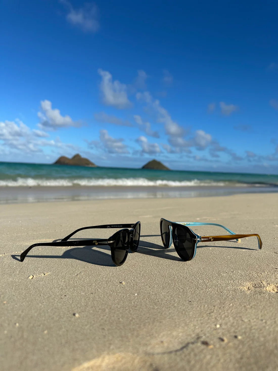 Modifeye Vision Montana