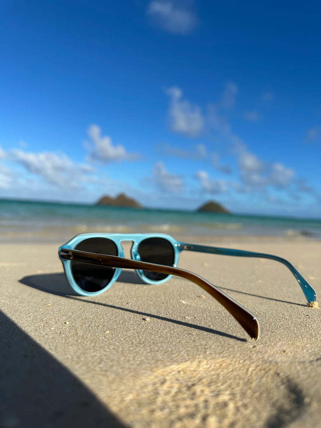 Modifeye Vision Montana