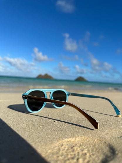 Modifeye Vision Montana