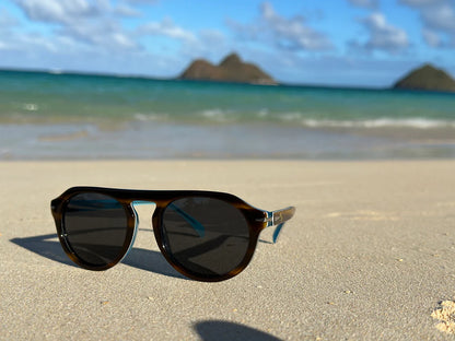 Modifeye Vision Montana