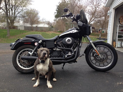 JD Customs Original FXDXT Fairing Kit - Unpainted