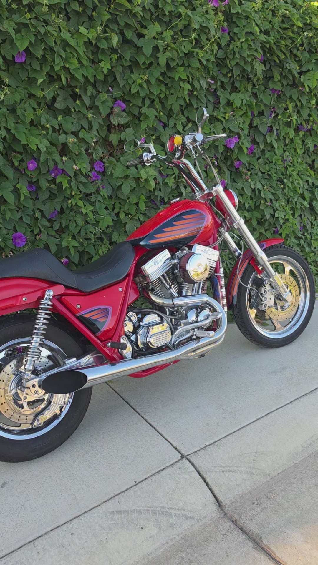 WIN!! 65$ BUILT FXR WIN!! – FasterFXR