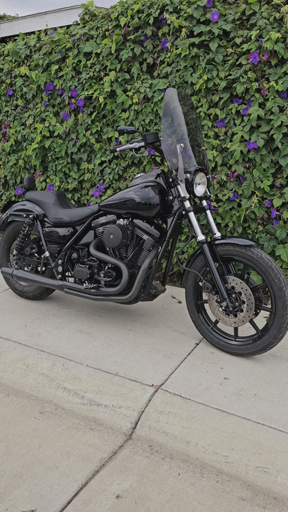 1991 built fxr