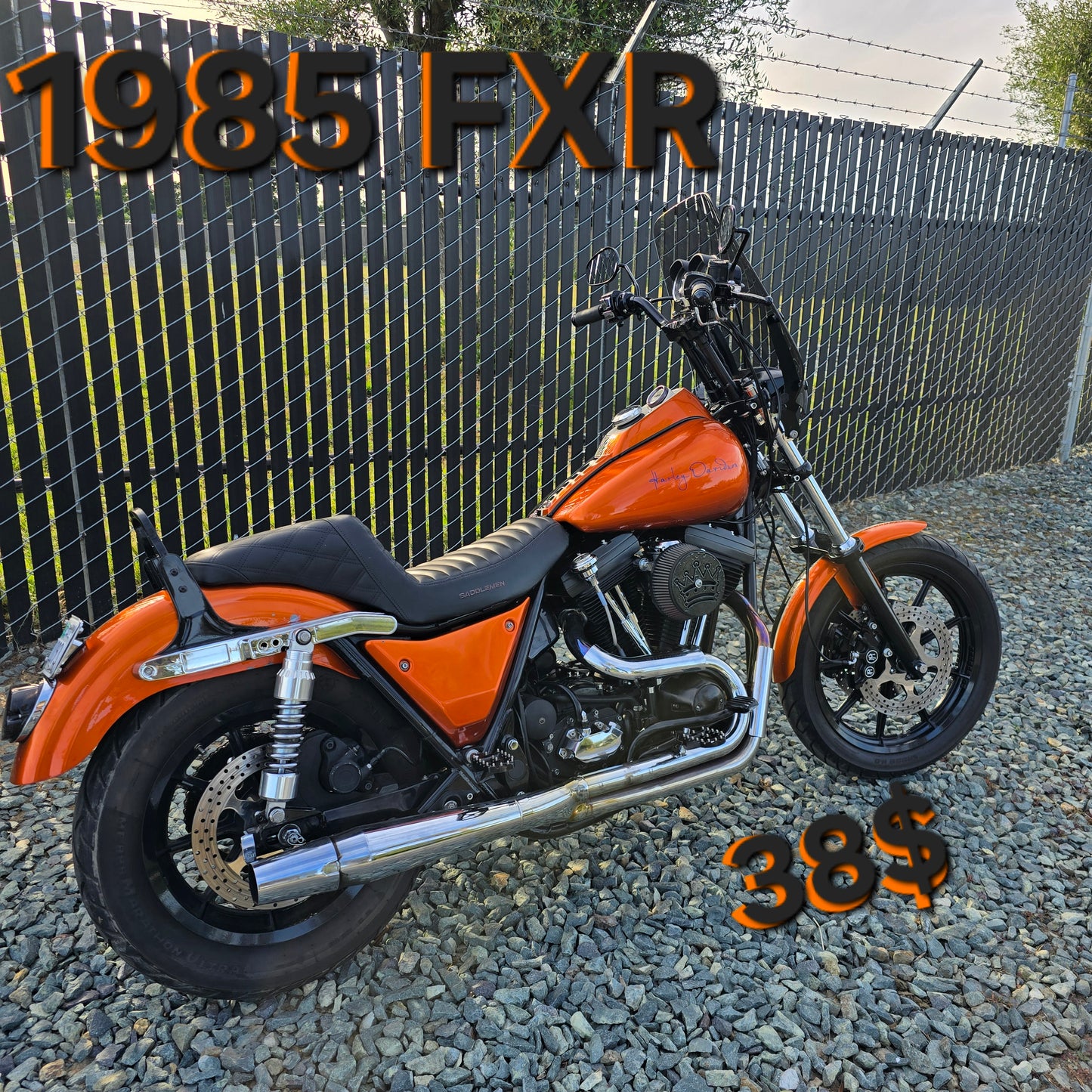 WIN!! 38$ 1985 FXR WIN!!