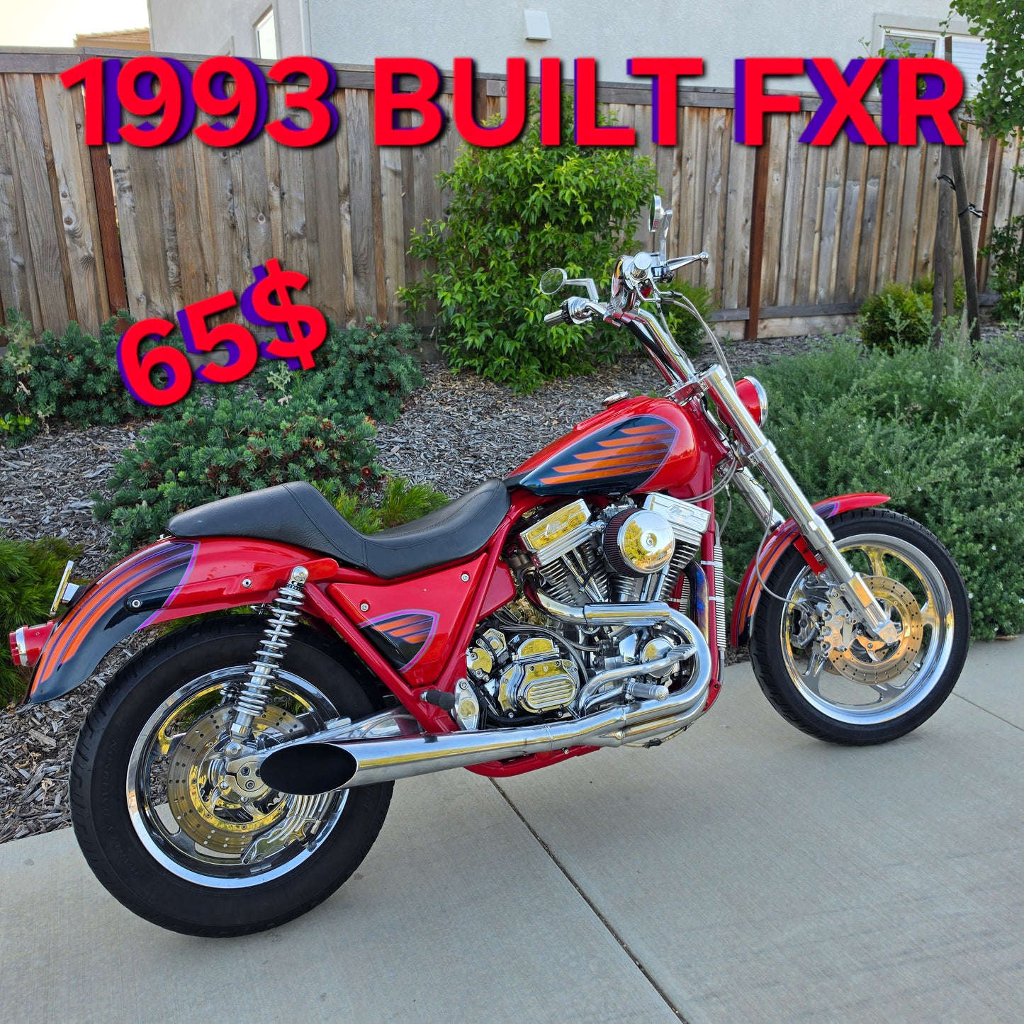 WIN!! 65$ BUILT FXR WIN!!