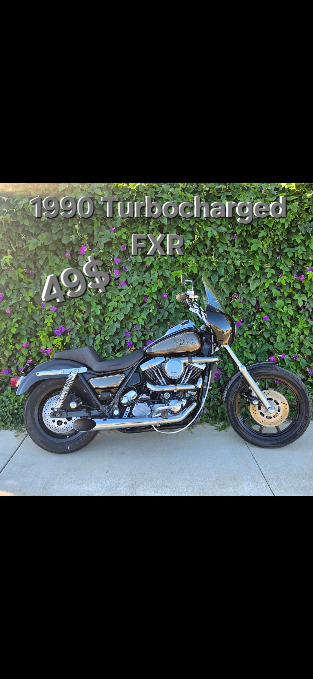 WIN!! $ 1990 Turbo FXR WIN!!