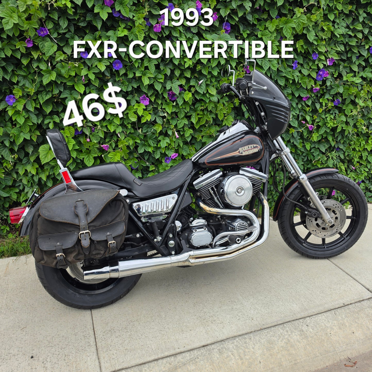 WIN!! 46$ 1993 FXR WIN!!
