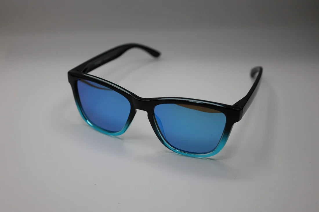 Modifeye Vision  Taylor